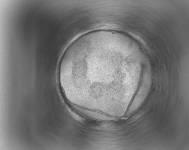 X0000068751375200605121559