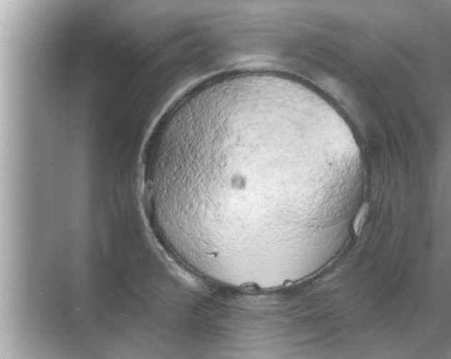 X0000068751376200605121558