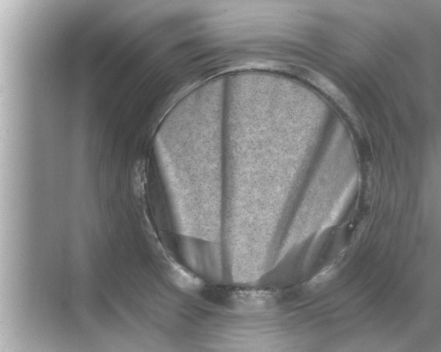 X0000068751377200605121558