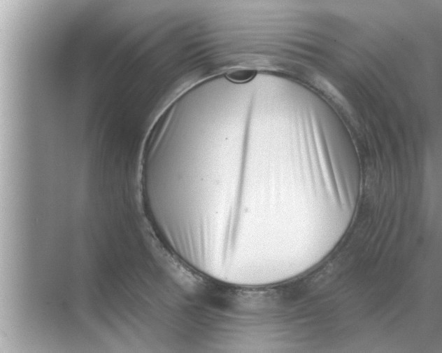 X0000068751378200605121558