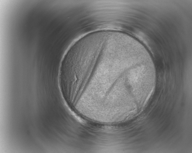 X0000068751379200605121558