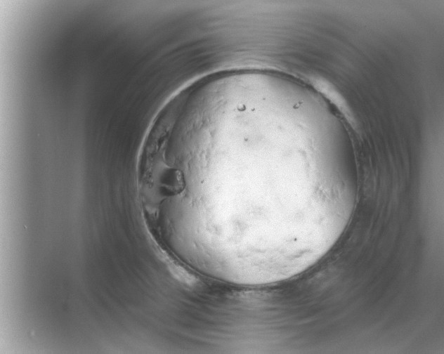 X0000068751380200605121558