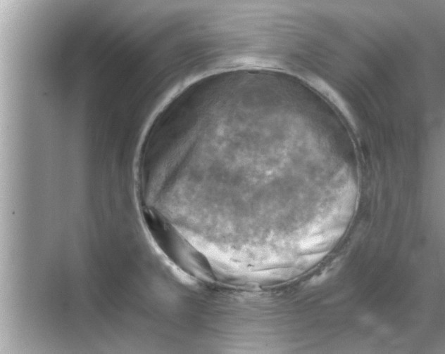 X0000068751381200605121558