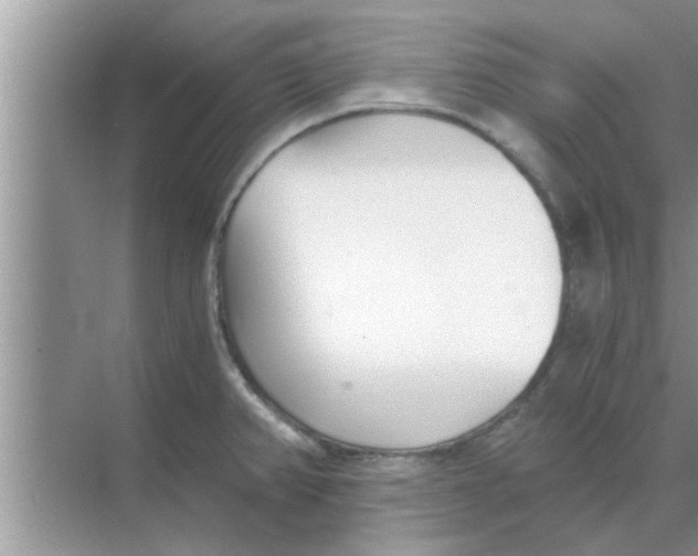 X0000068751382200605121558