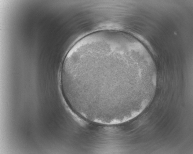 X0000068751383200605121558