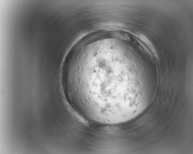 X0000068751384200605121558