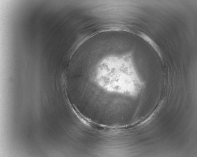 X0000068751385200605121558