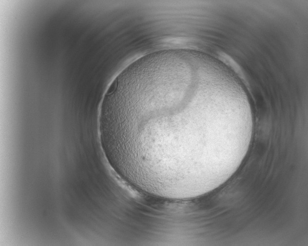 X0000068751386200605121558