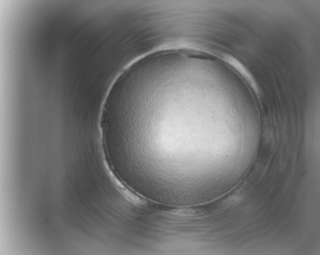 X0000068751388200605121558