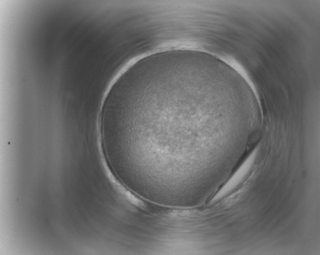 X0000068751389200605121558