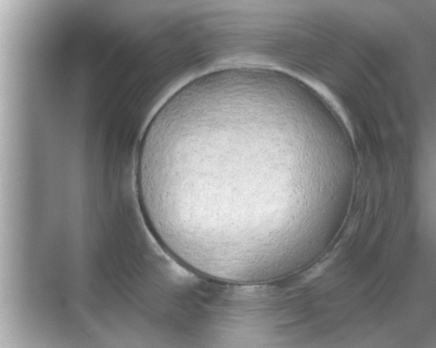 X0000068751390200605121558