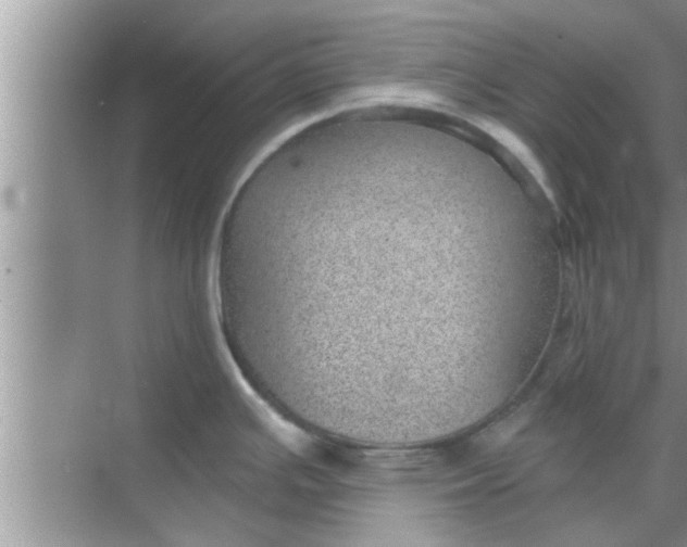 X0000068751391200605121558