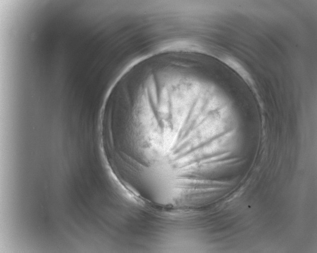 X0000068751392200605121558