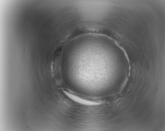 X0000068751394200605121557