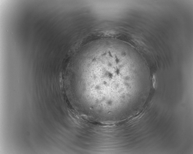 X0000068751395200605121557