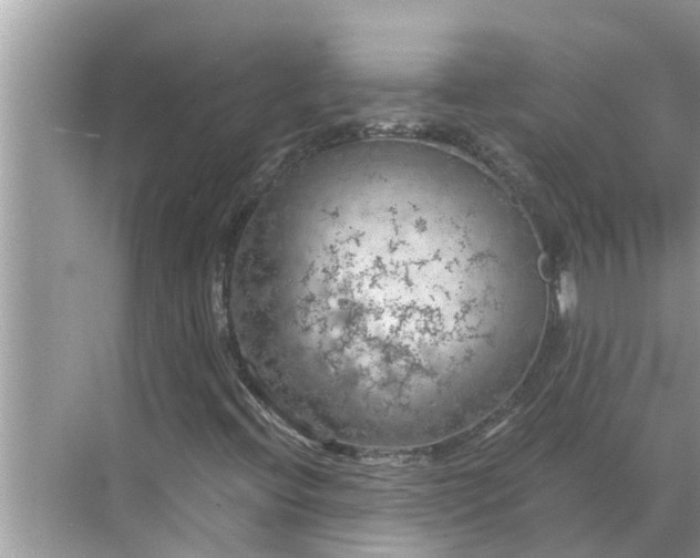 X0000068751396200605121557