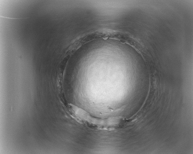 X0000068751397200605121557