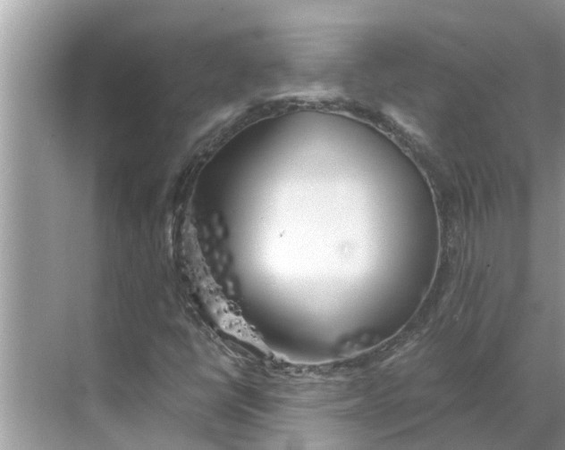 X0000068751398200605121558