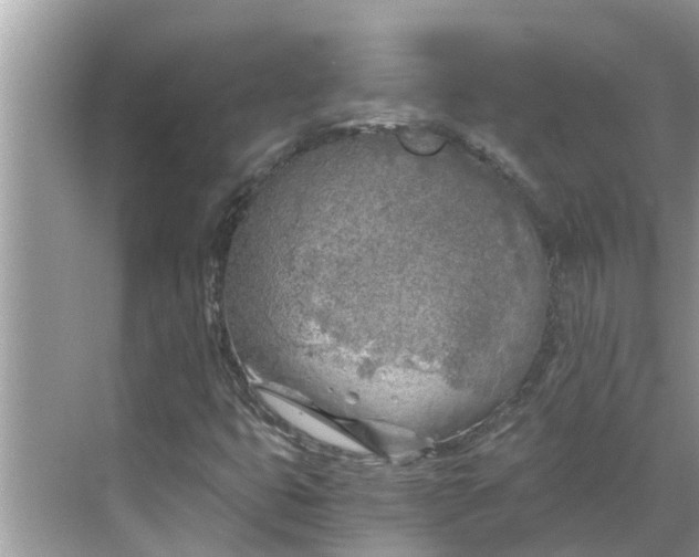 X0000068751399200605121558