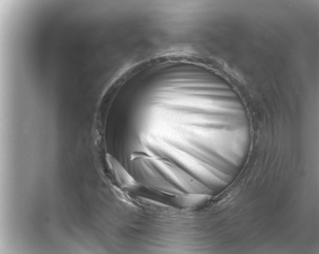 X0000068751400200605121558