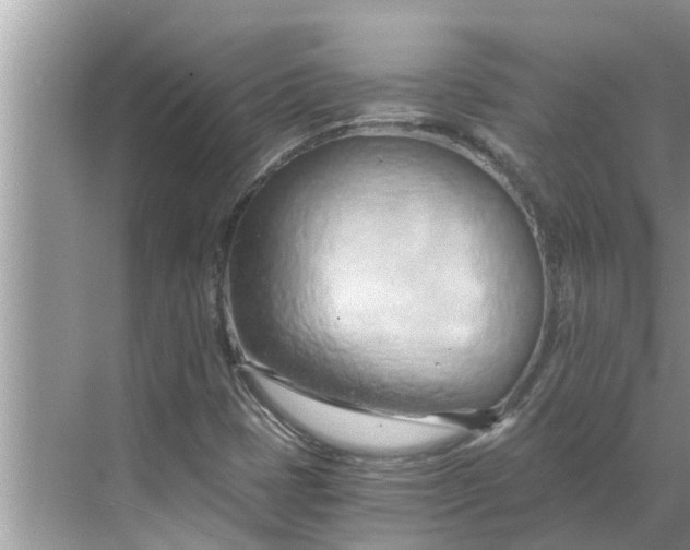 X0000068751401200605121558