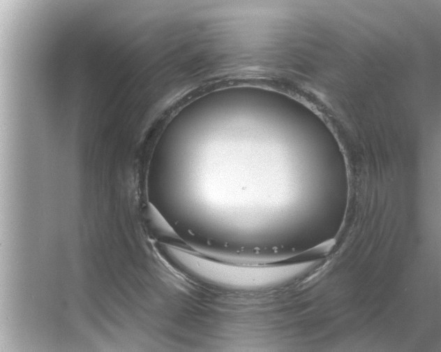 X0000068751402200605121558