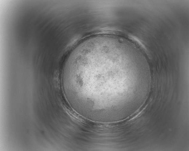 X0000068751403200605121558