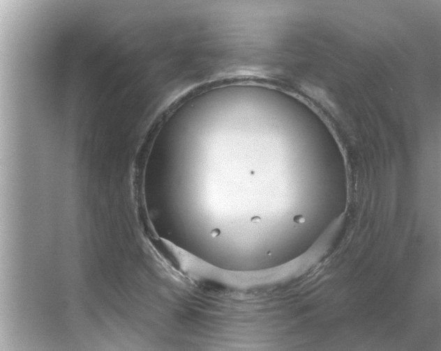 X0000068751404200605121558