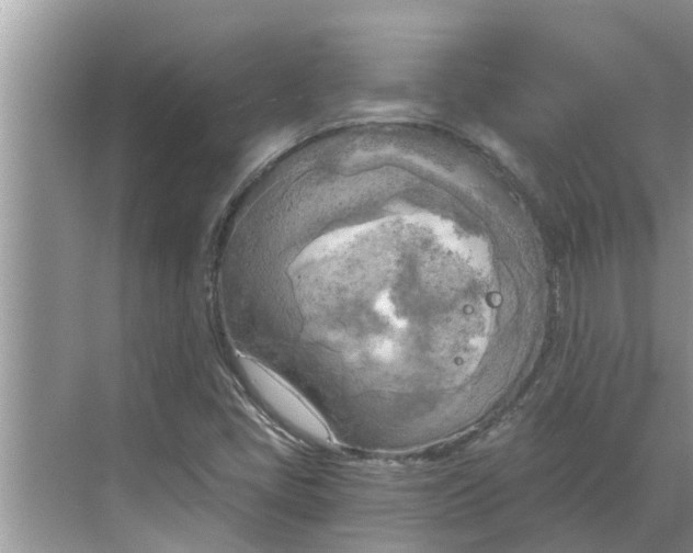 X0000068751405200605121558