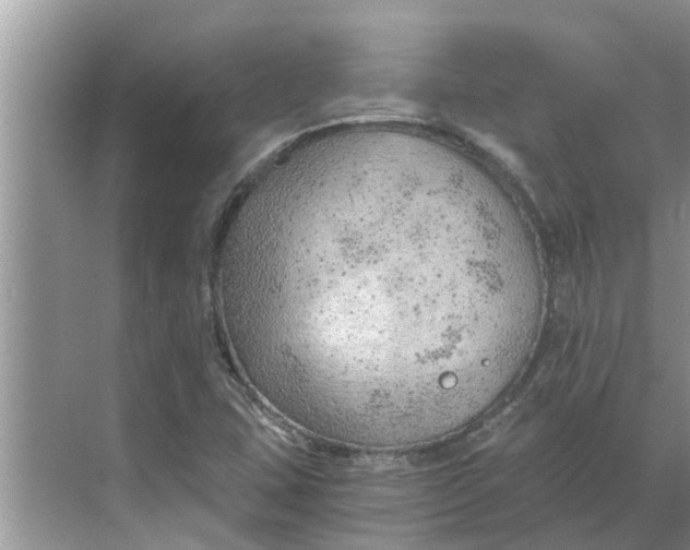 X0000068751407200605121558