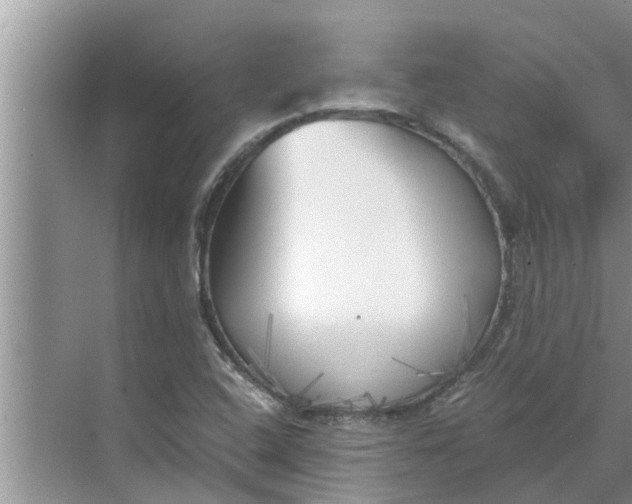 X0000068751408200605121558