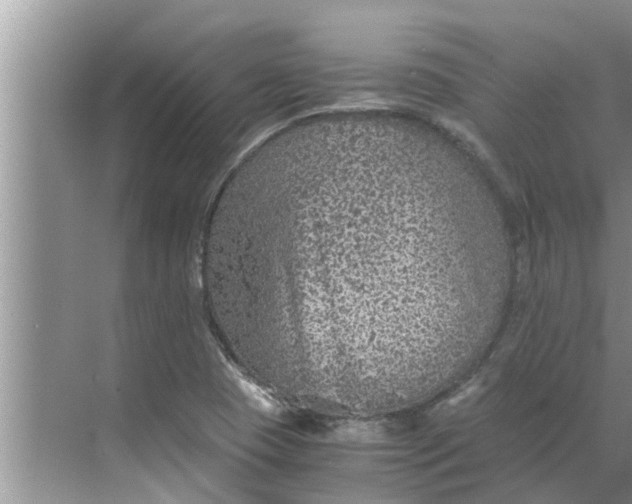 X0000068751409200605121558