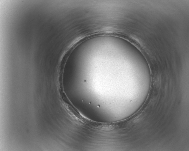 X0000068751410200605121558