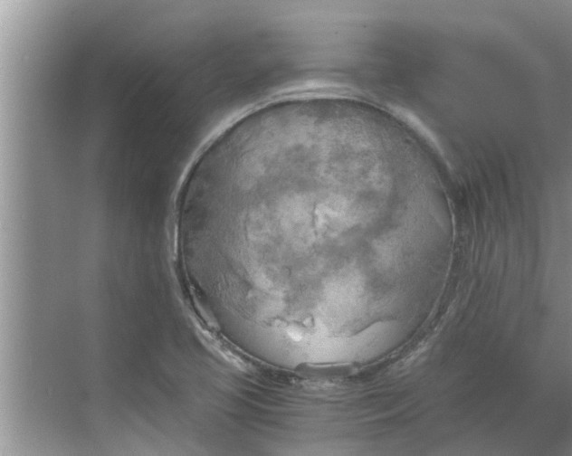 X0000068751413200605121558