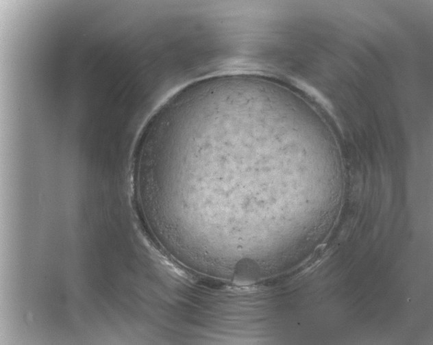 X0000068751415200605121558