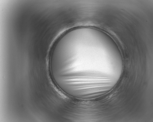 X0000068751416200605121558