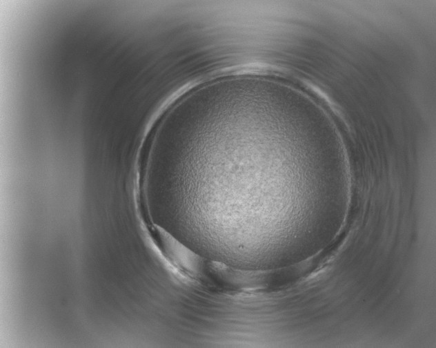 X0000068751418200605121558