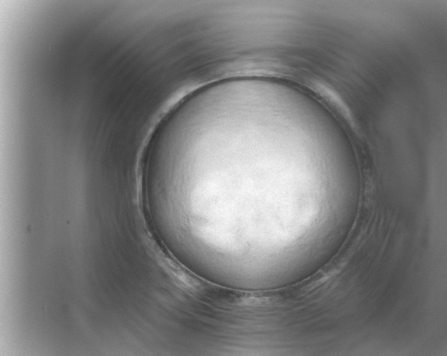 X0000068751419200605121558