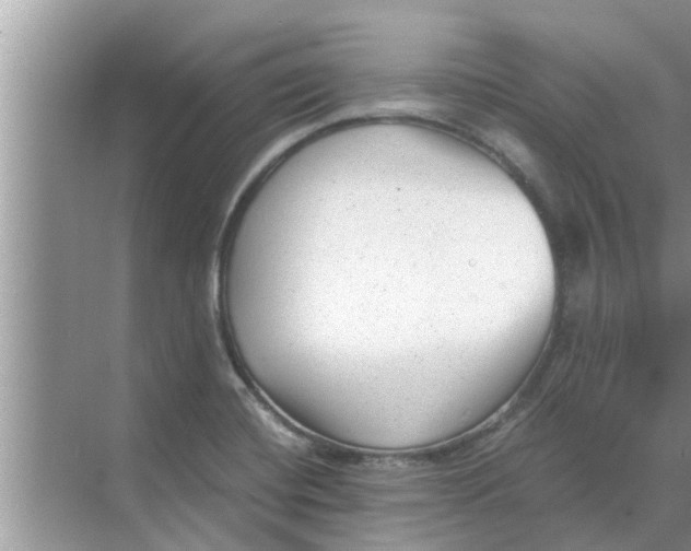 X0000068751420200605121558