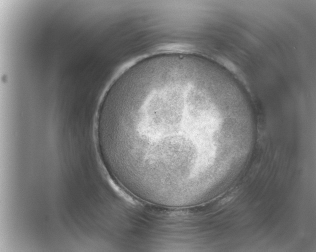 X0000068751421200605121558