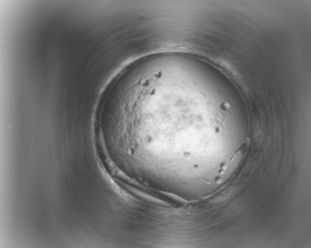 X0000068751422200605121558