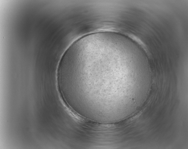 X0000068751423200605121558