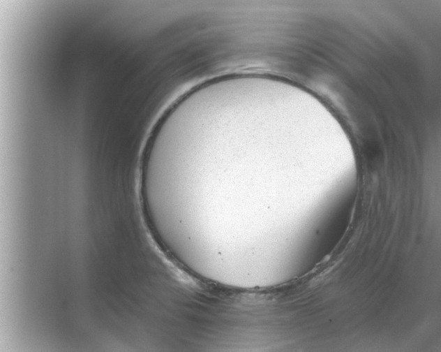 X0000068751424200605121558