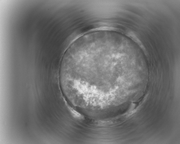 X0000068751425200605121558