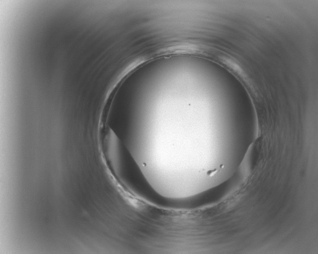 X0000068751426200605121558