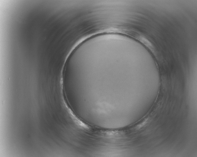 X0000068751428200605121558