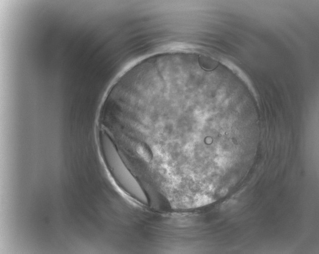 X0000068751429200605121558