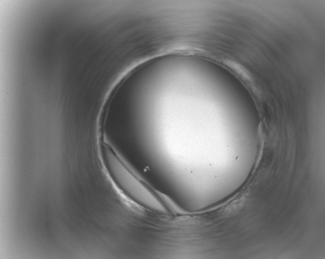 X0000068751430200605121558