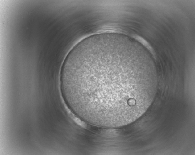 X0000068751431200605121558