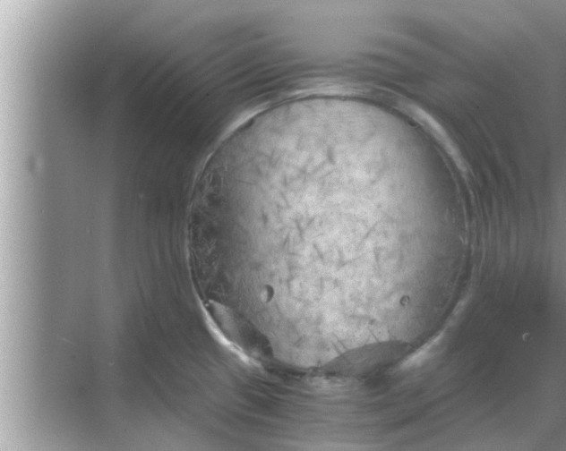 X0000068751433200605121558